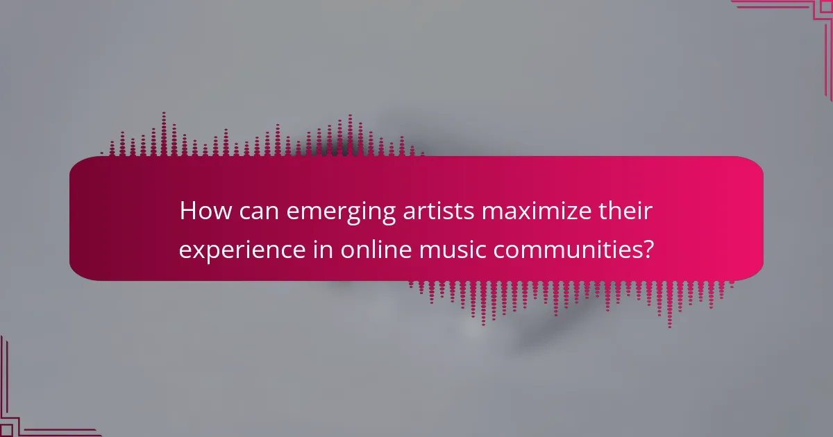 How can emerging artists maximize their experience in online music communities?