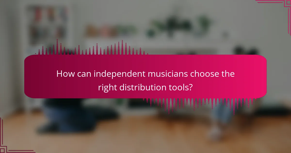 How can independent musicians choose the right distribution tools?