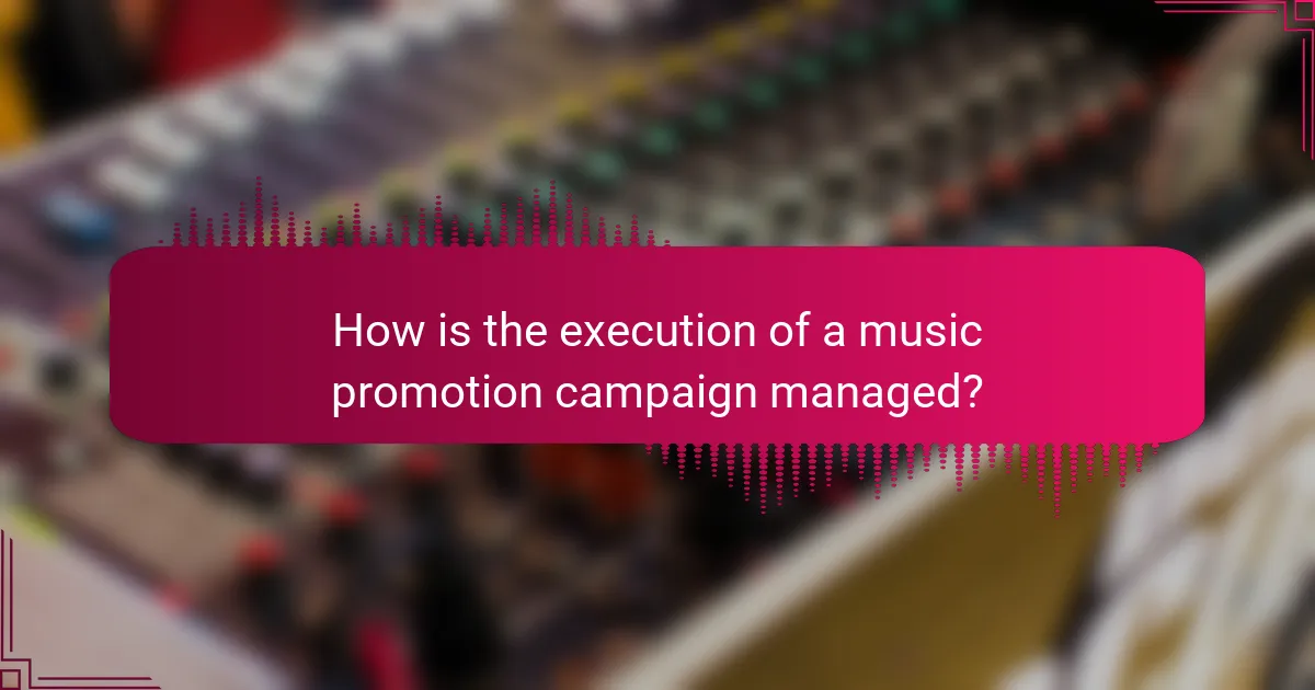 How is the execution of a music promotion campaign managed?