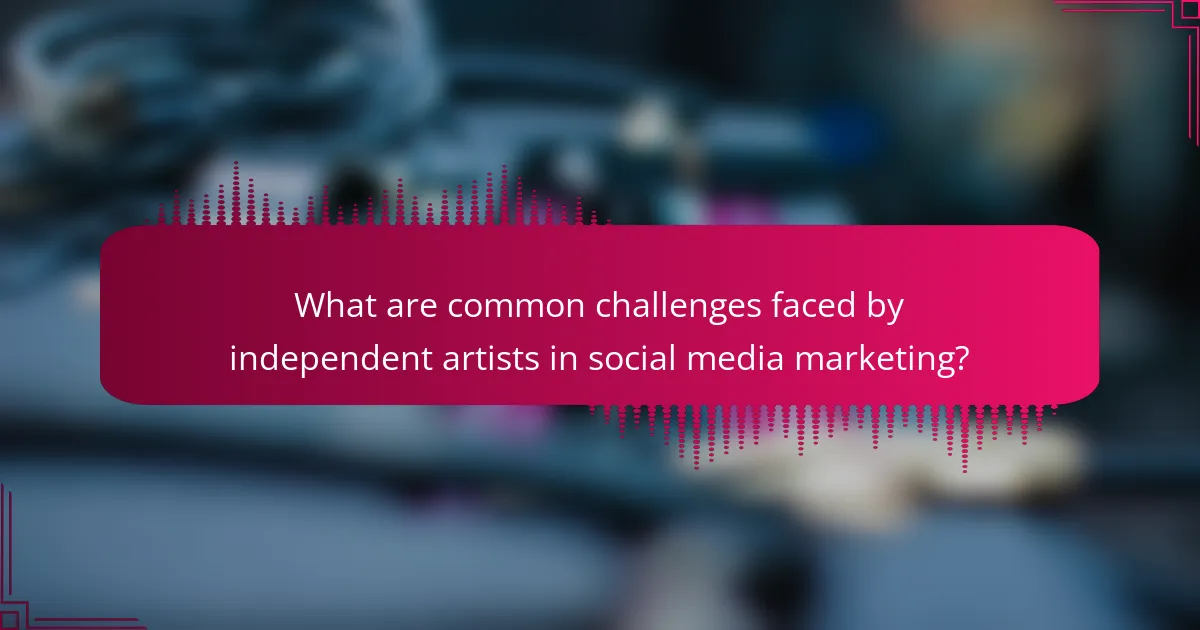 What are common challenges faced by independent artists in social media marketing?