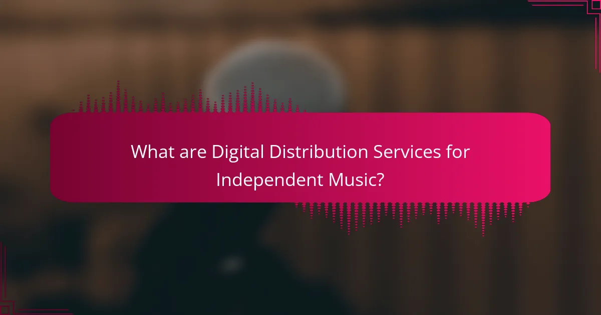 What are Digital Distribution Services for Independent Music?