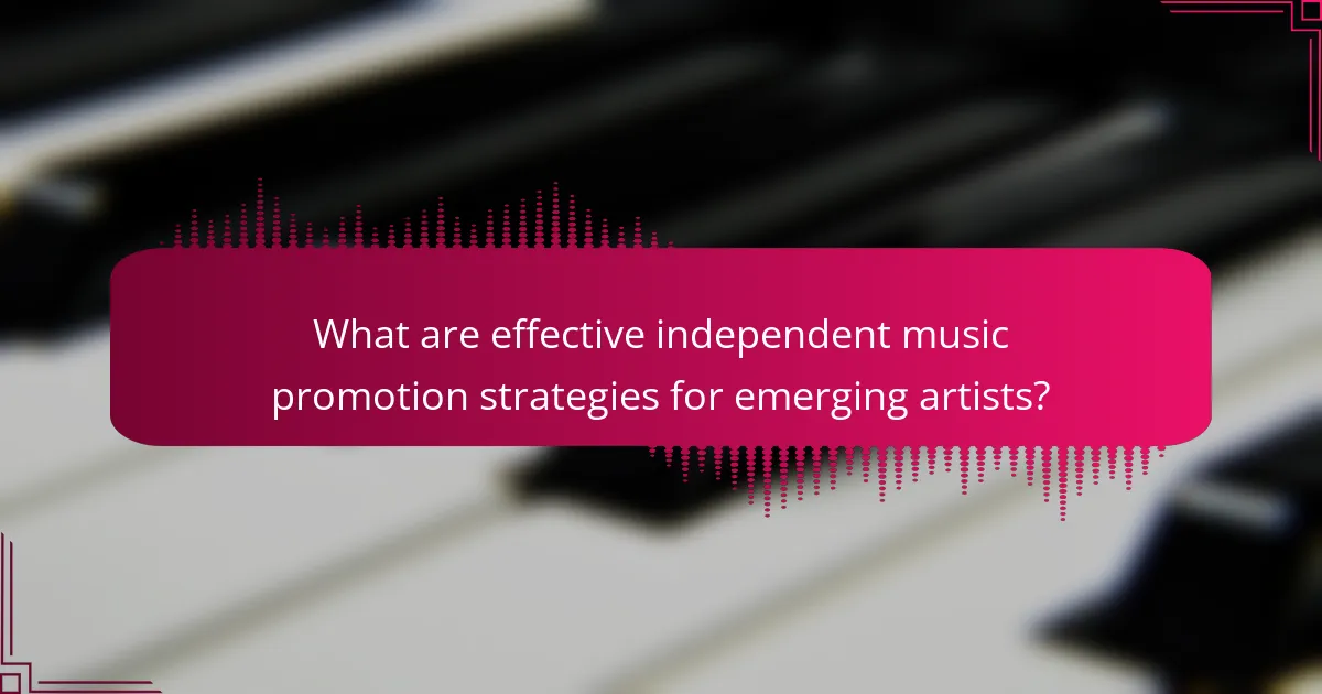 What are effective independent music promotion strategies for emerging artists?