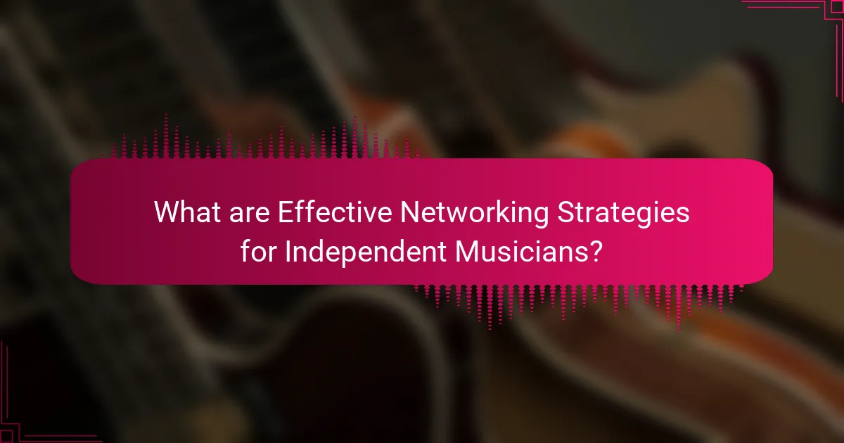 What are Effective Networking Strategies for Independent Musicians?