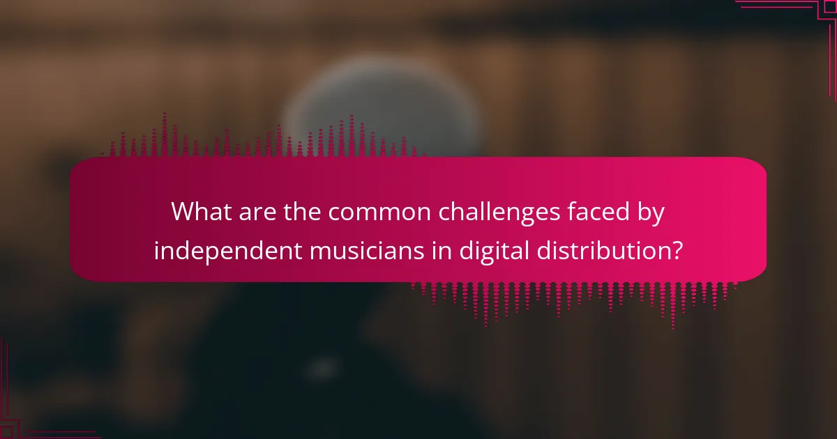 What are the common challenges faced by independent musicians in digital distribution?