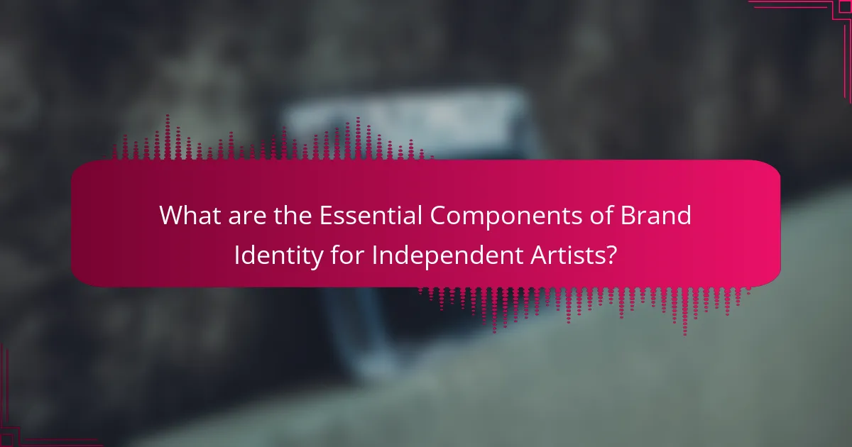 What are the Essential Components of Brand Identity for Independent Artists?