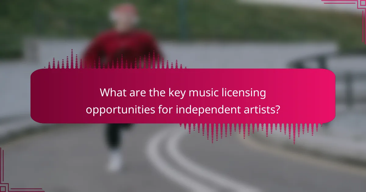 What are the key music licensing opportunities for independent artists?