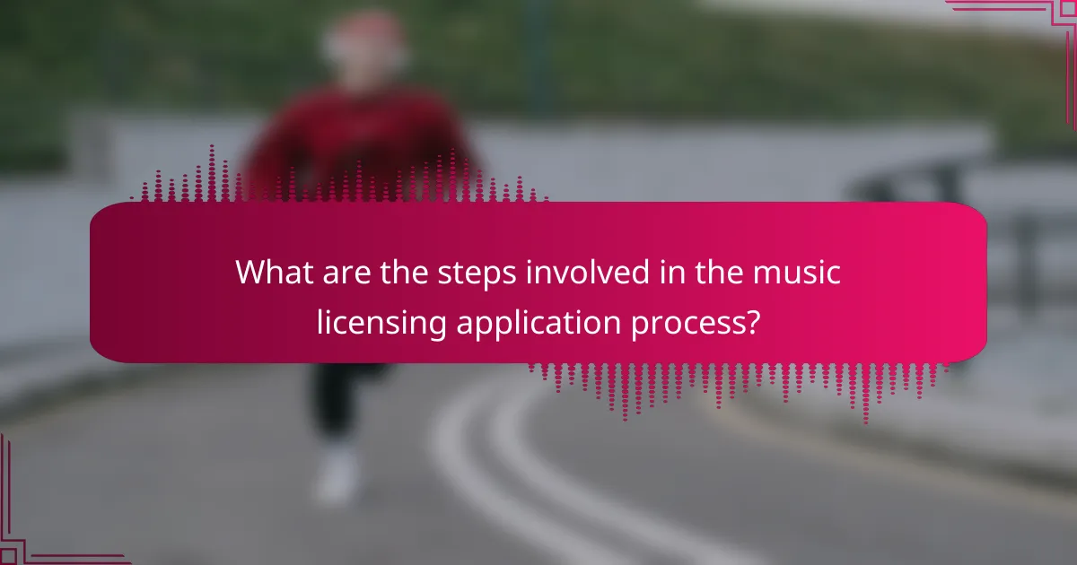 What are the steps involved in the music licensing application process?
