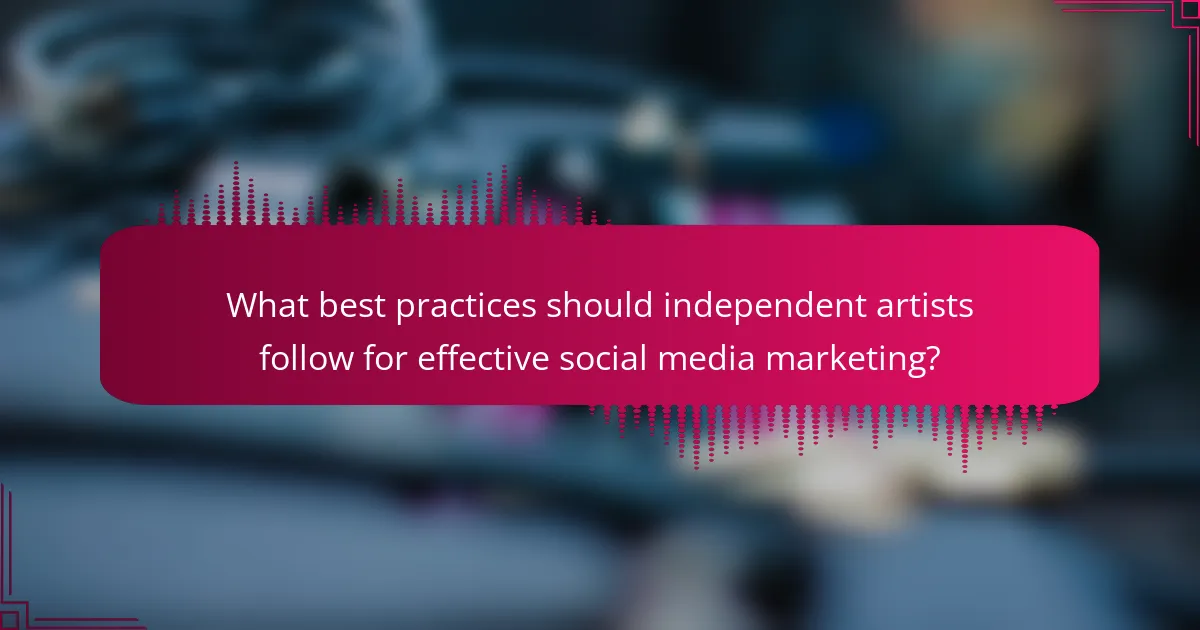 What best practices should independent artists follow for effective social media marketing?