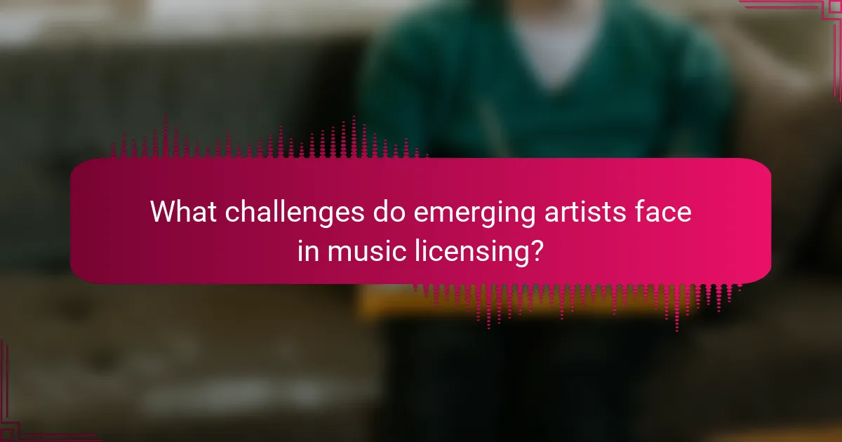 What challenges do emerging artists face in music licensing?