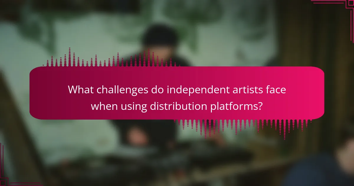 What challenges do independent artists face when using distribution platforms?