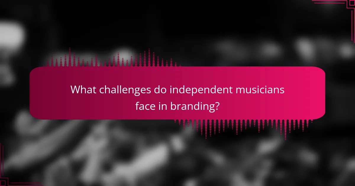 What challenges do independent musicians face in branding?