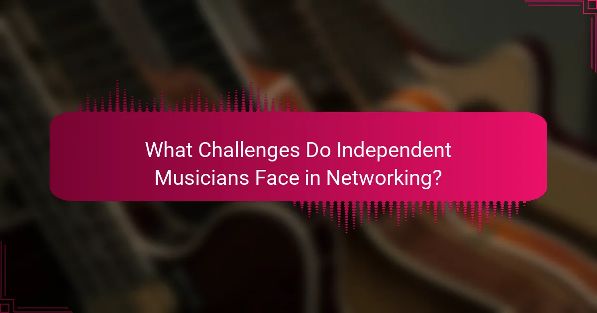 What Challenges Do Independent Musicians Face in Networking?