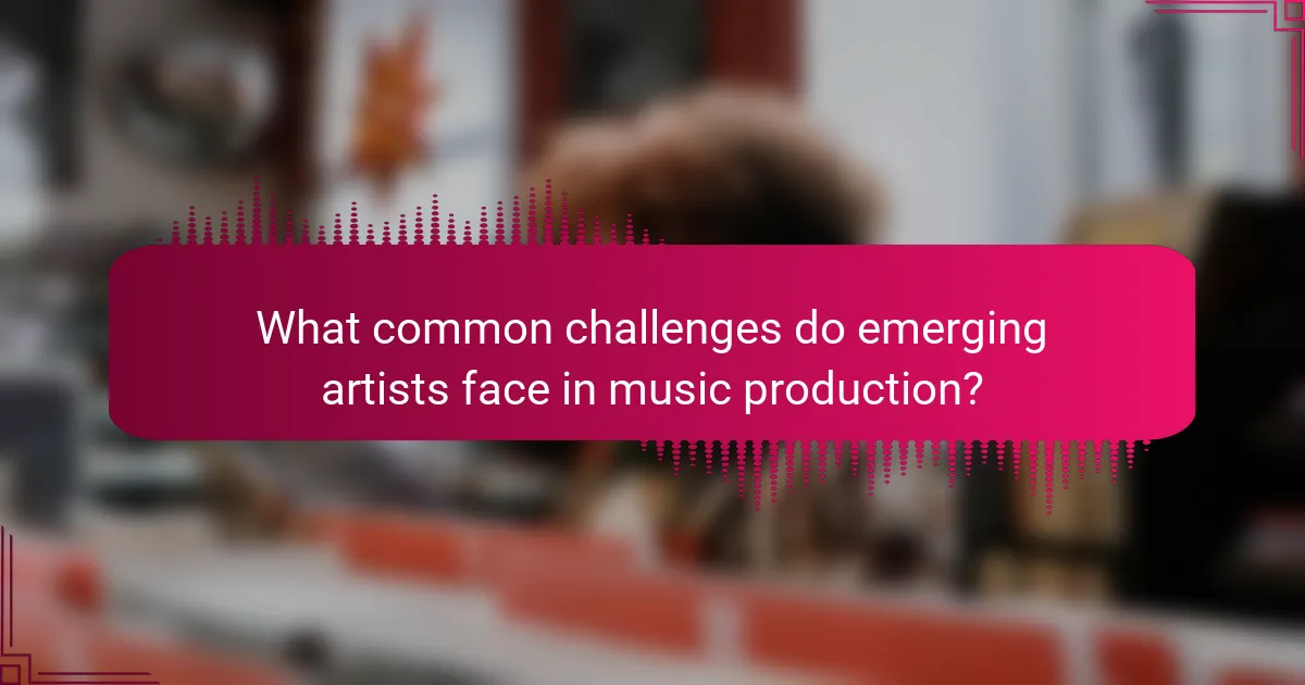 What common challenges do emerging artists face in music production?