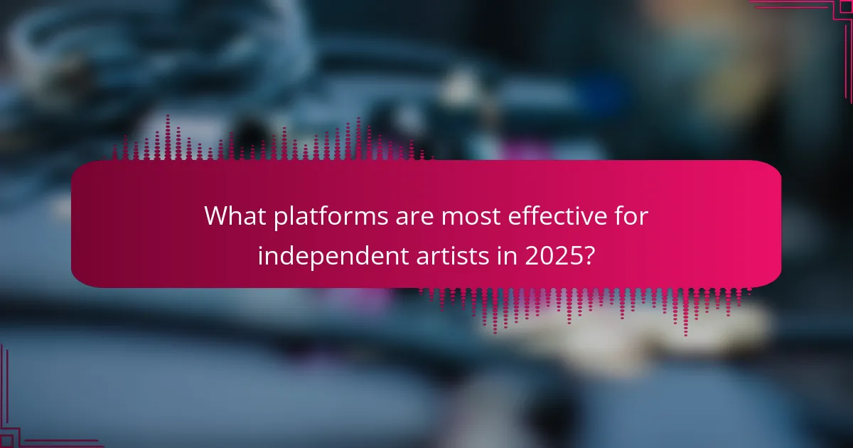 What platforms are most effective for independent artists in 2025?