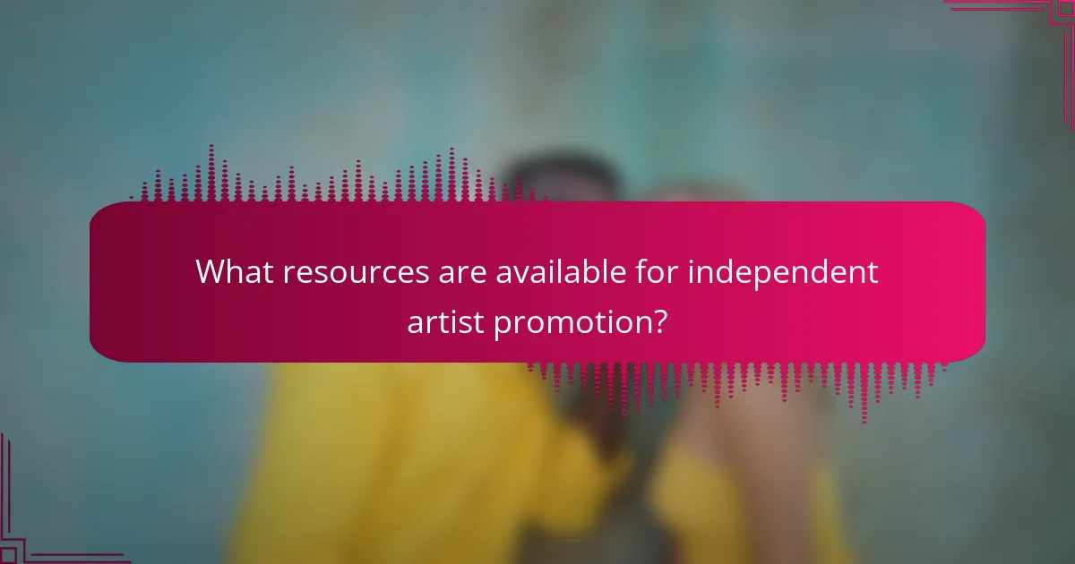 What resources are available for independent artist promotion?