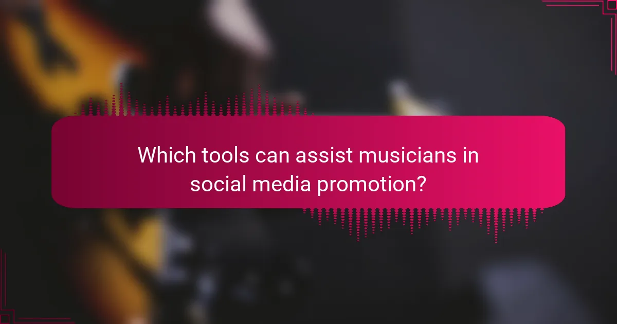 Which tools can assist musicians in social media promotion?